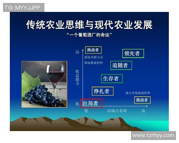 克罗斯在足球历史中的地位与影响力探讨及其未来发展前景分析