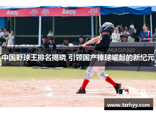 中国野球王排名揭晓 引领国产棒球崛起的新纪元