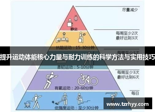 提升运动体能核心力量与耐力训练的科学方法与实用技巧
