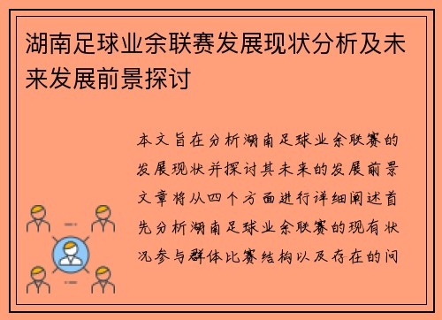 湖南足球业余联赛发展现状分析及未来发展前景探讨