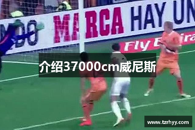 介绍37000cm威尼斯